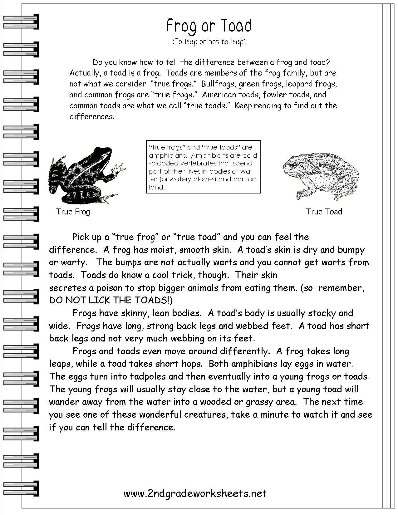 Reading Informational Text Worksheets As Well As Text Features Worksheet 2Nd Grade