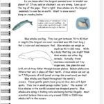 Reading Informational Text Worksheets For Text Features Worksheet 2Nd Grade