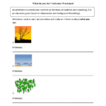 Reading Worksheets  Inference Worksheets For Inferences Worksheet 2