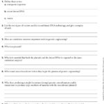 Recombinant Dna Technique Worksheet 22 Answers Inside Biotechnology Worksheet Answers