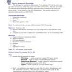 Recombinant Dna Technology Within Dna Technology Worksheet