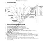 Reproduction In Flowering Plants Worksheet 1  Esl Worksheet Inside Plant Reproduction Worksheet