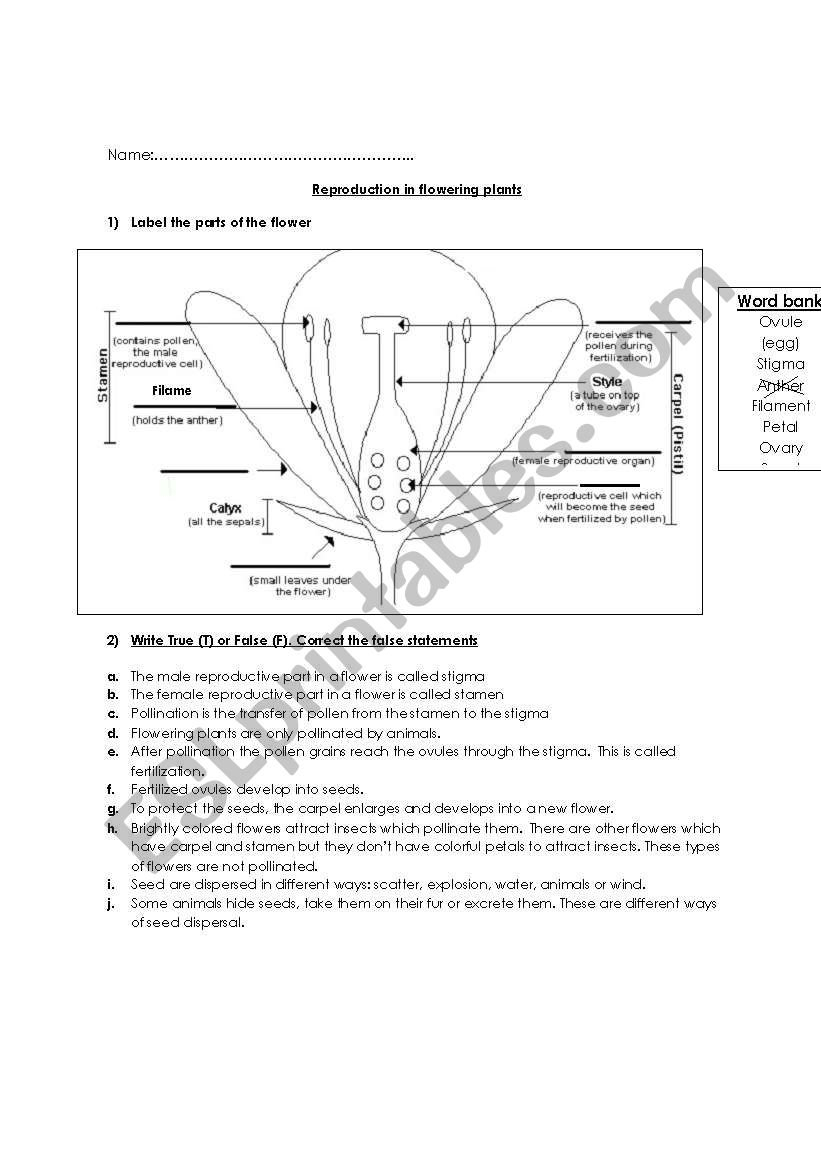 Reproduction In Flowering Plants Worksheet 1  Esl Worksheet Inside Plant Reproduction Worksheet