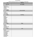 Respiratory System Terminology Worksheet Within Respiratory System Medical Terminology Worksheet
