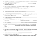 Response Worksheet Or Dna And Forensics Worksheet Answers