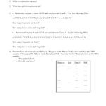Restriction Enzyme Worksheet As Well As Restriction Enzyme Worksheet