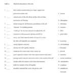 Review Cell Organelles Match The Description To The Term And Cell Organelles Worksheet