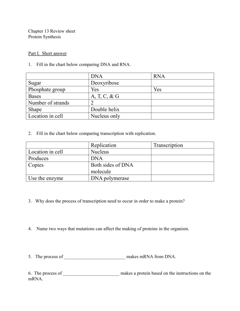 Review Sheet Together With Protein Synthesis Review Worksheet