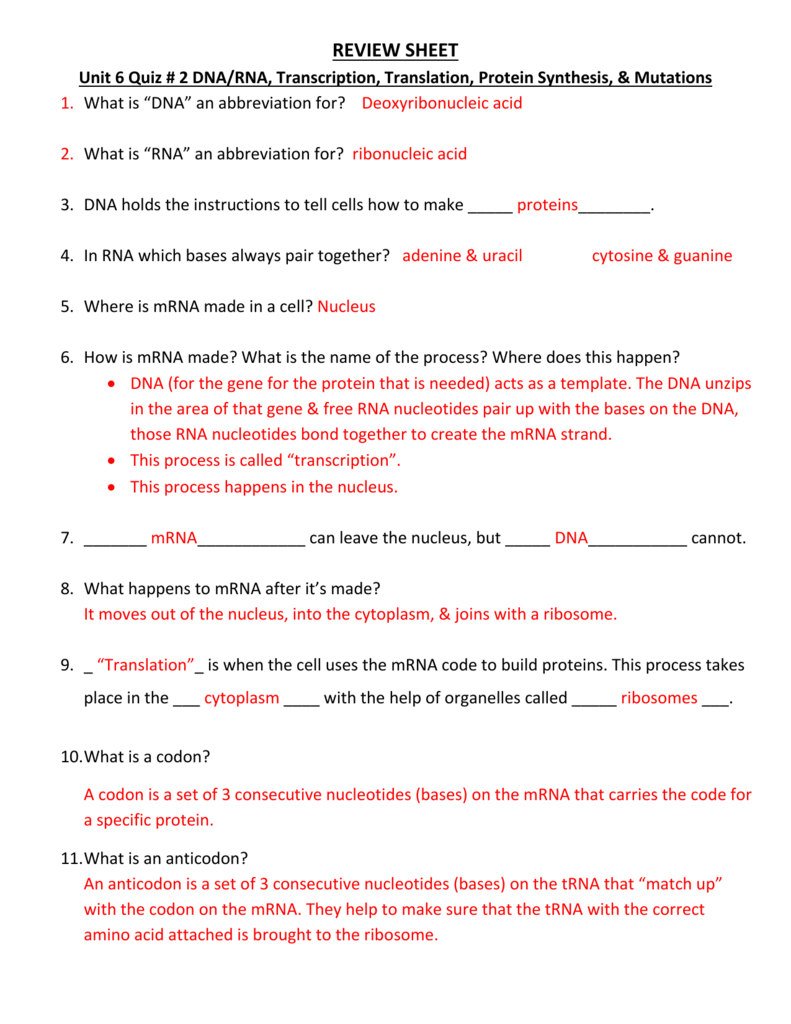Review Sheet Unit 6 Quiz  2 Dnarna Transcription Also Dna And Protein Synthesis Worksheet Answers