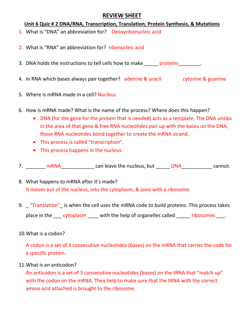 Dna Analysis Os Answer Key Mutations Practice Barren County Schools Dna Analysis Is After