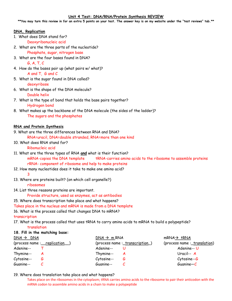 Rna And Protein Synthesis Along With Dna Replication And Protein Synthesis Worksheet Answer Key