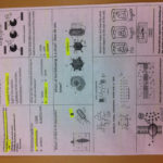 Rudy's Work  Rudy And Perez Biology For Cell Cycle And Dna Replication Practice Worksheet Key