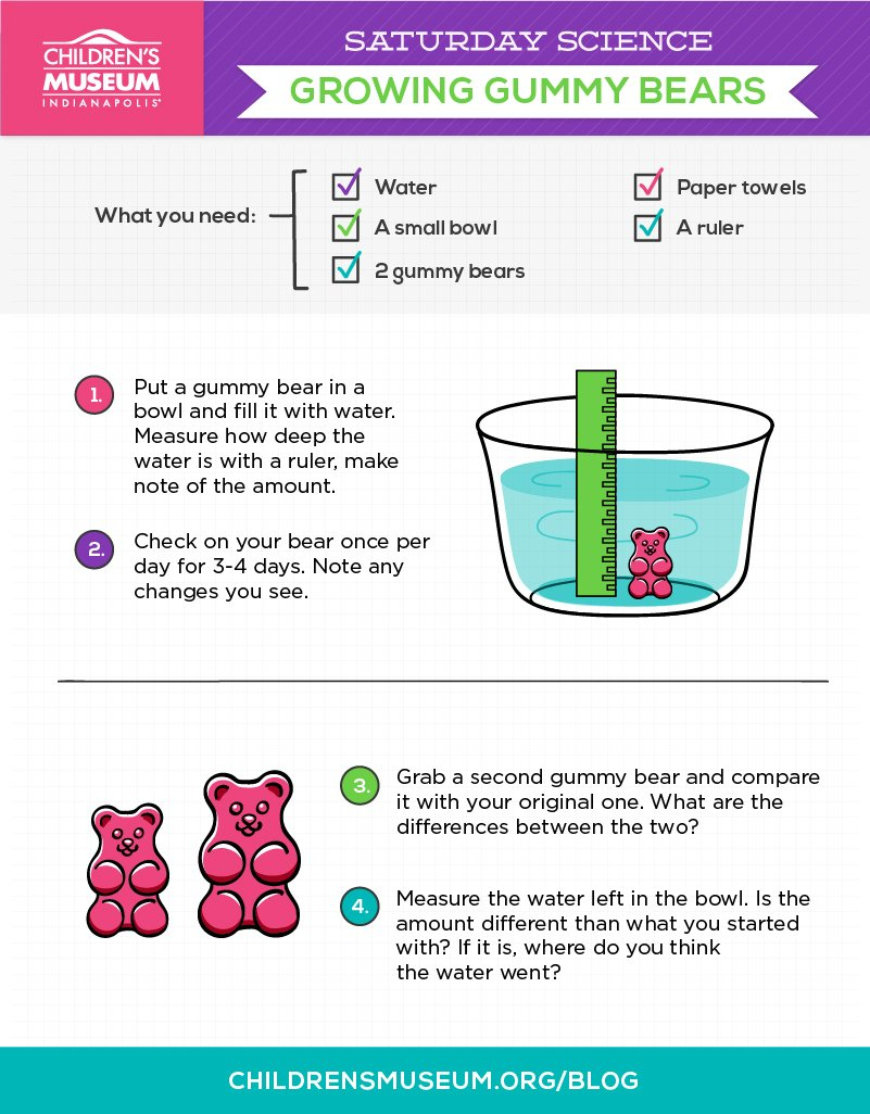Saturday Science Growing Gummy Bears  The Children's Museum Of And Gummy Bear Science Experiment Worksheet