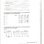 Say It With Dna Protein Synthesis Worksheet Ms Friedman S Inside Say It With Dna Protein Synthesis Worksheet