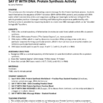 Say It With Dna Protein Synthesis Worksheet Practice Together With Say It With Dna Protein Synthesis Worksheet Answers
