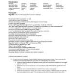 Science Chapter 5 Study Guide Genetics Vocabulary For Heredity Vocabulary Worksheet Answers