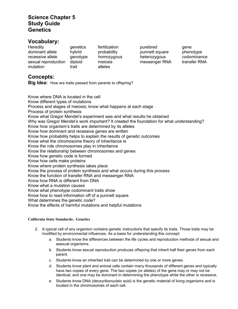 Science Chapter 5 Study Guide Genetics Vocabulary For Heredity Vocabulary Worksheet Answers