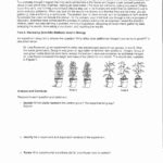 Scientific Method Practice Worksheet  Yooob Within Scientific Method Practice Worksheet