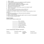 Scientific Method Review Worksheet  Easy Peasy Allin In Scientific Method Review Worksheet