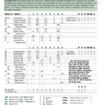 Scoresheet Fantasy Baseball | Sample Scoresheet (Boxscore) For Baseball Team Stats Spreadsheet