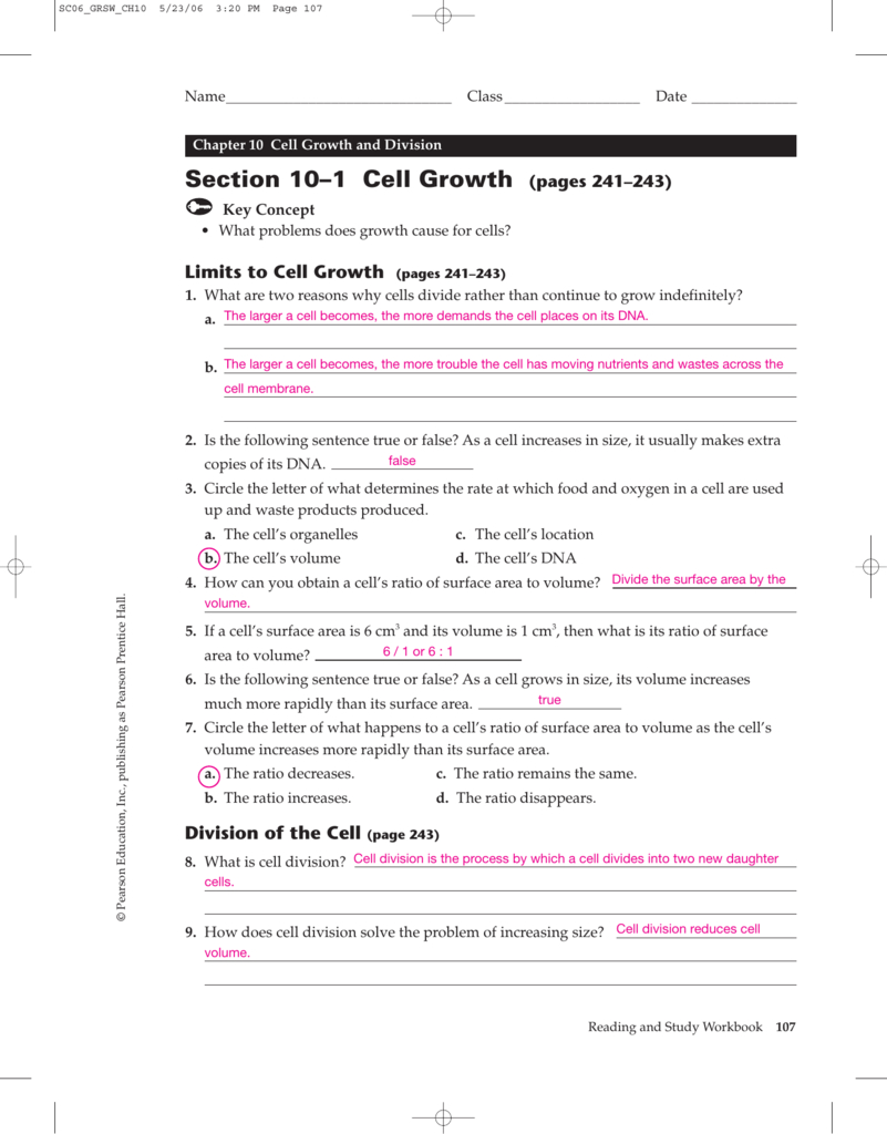 Section 10–1 Cell Growth Pages 241–243 Also Chapter 10 Cell Growth And Division Worksheet Answer Key