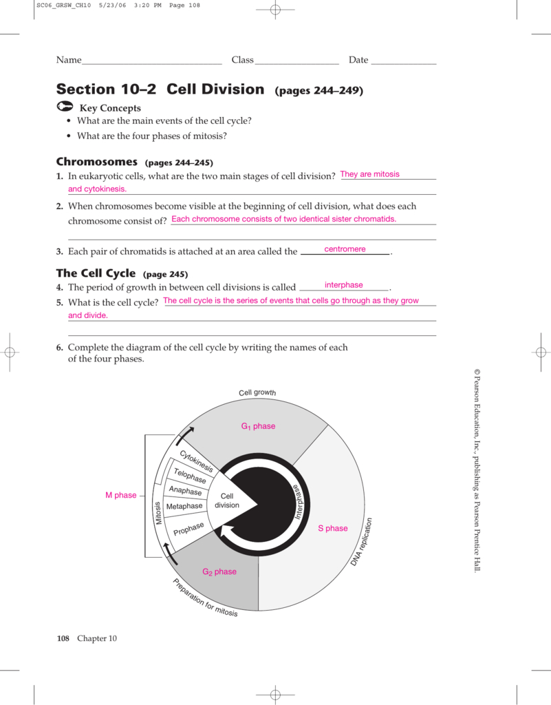 Section 10–2 Cell Division Pages 244–249 Also Chapter 10 Cell Growth And Division Worksheet Answer Key