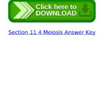 Section 11 4 Meiosis Answer Keylipbivoni  Issuu Also Biology Section 11 4 Meiosis Worksheet Answer Key