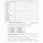 Section 12 3 Rna And Protein Synthesis Answers 9 Awesome  Grad Kaštela For Say It With Dna Protein Synthesis Worksheet Answers