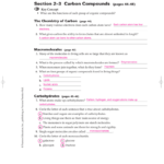 Section 2–3 Carbon Compounds Pages 44–48 For Chapter 2 The Chemistry Of Life Worksheet Answers