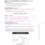 Section 2–4 Chemical Reactions And Enzymes Pages 49–53 Also Biology Enzymes Worksheet Answers