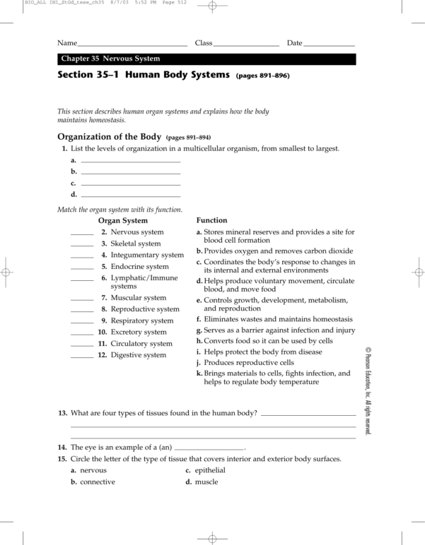 get-human-body-systems-worksheet-tes-png-diagram-printabel