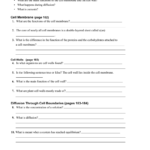 Section 73 Cell Boundaries Pages 182189 For 7 3 Cell Transport Worksheet Answers