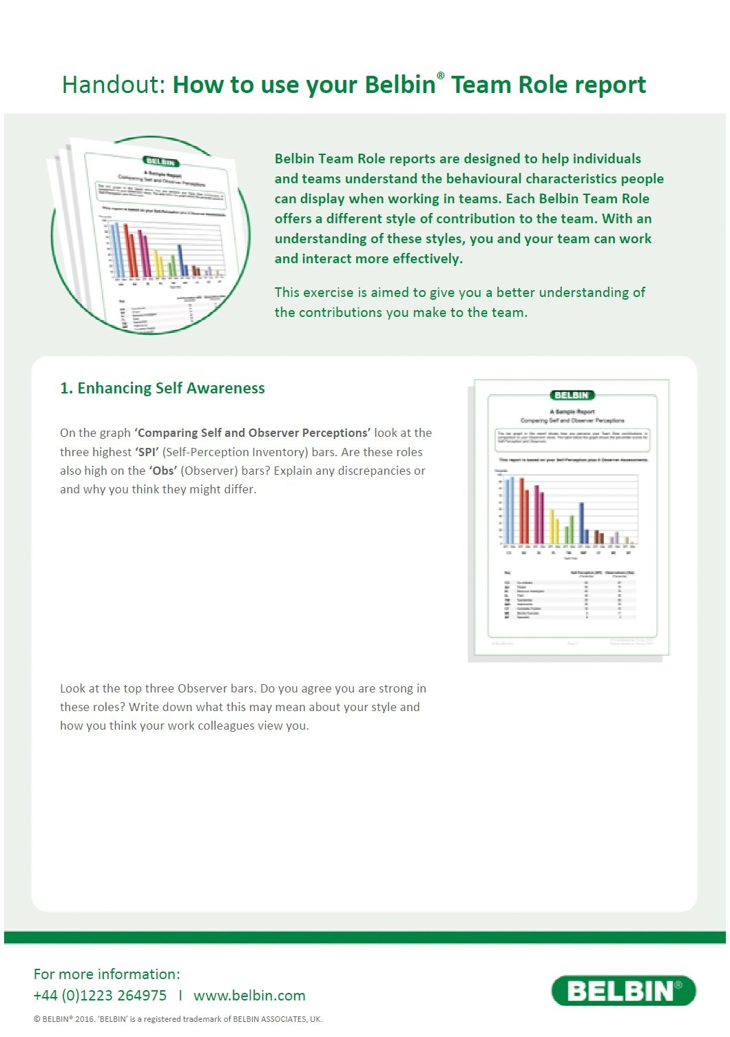 Session Ideas  Handouts  Belbin For Team Building Worksheets