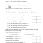 Sexlinked Traits Worksheet For Punnett Square Worksheet 1 Answer Key