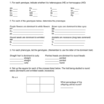 Simple Genetics Practice Problems Along With Genetics Practice Problems Worksheet Answer Key
