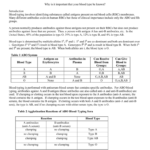 Simulated Abo Rh Blood Answers Pertaining To Abo Rh Simulated Blood Typing Worksheet Answers