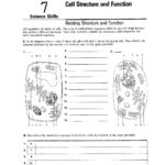 Singhal Seema  Biology For Cell Structure And Function Worksheet Answer Key