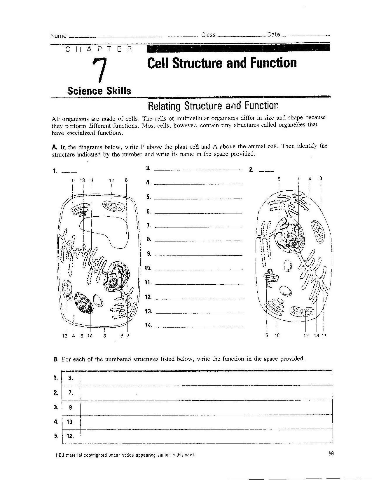 Singhal Seema  Biology Throughout Chapter 4 Cell Structure And Function Worksheet Answers