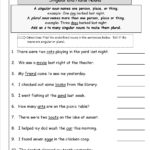 Singular And Plural Nouns Worksheets From The Teacher's Guide As Well As Nouns Worksheet 4Th Grade