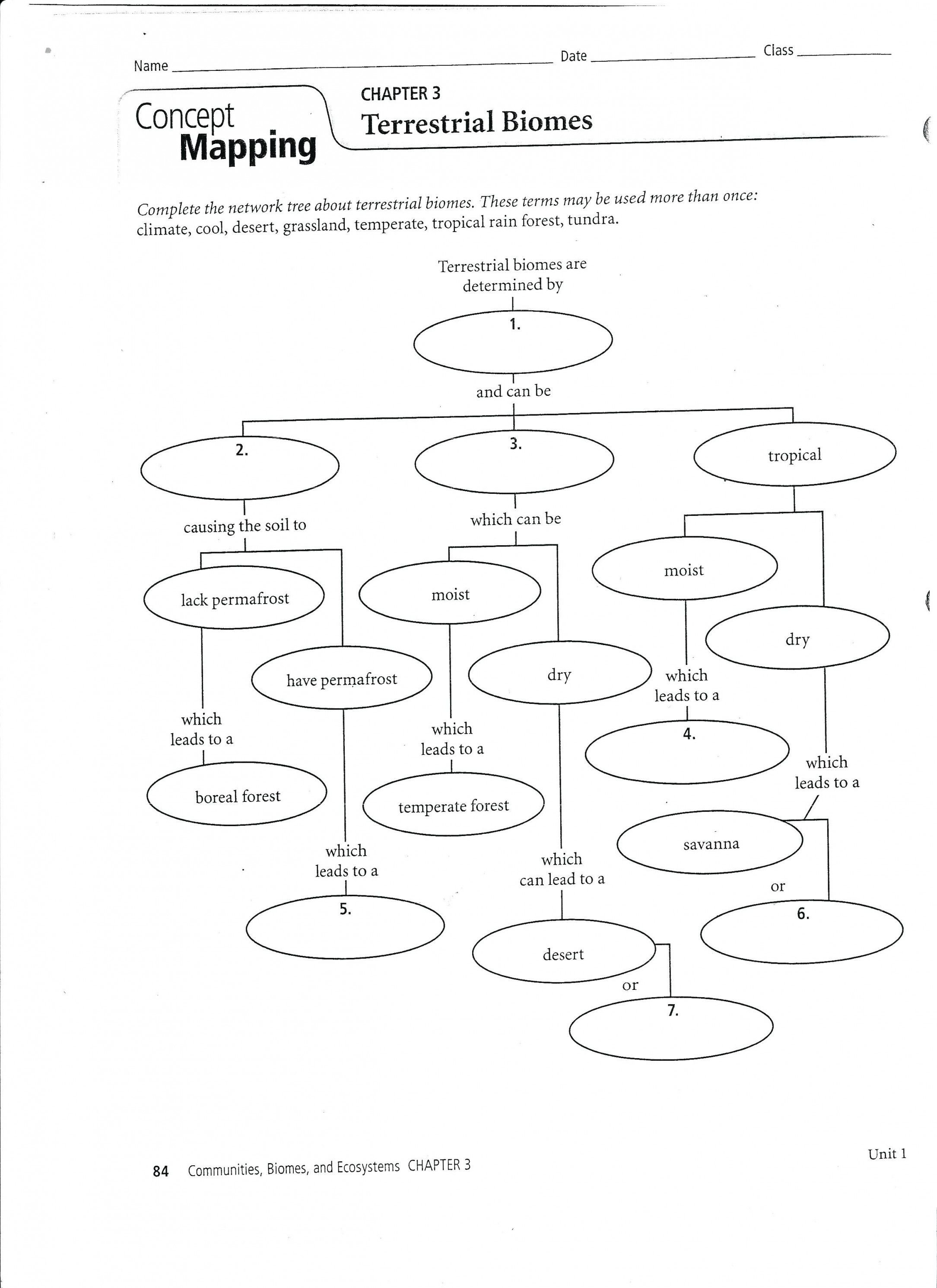 Skills Worksheet Concept Mapping  Yooob As Well As Skills Worksheet Concept Mapping Answers