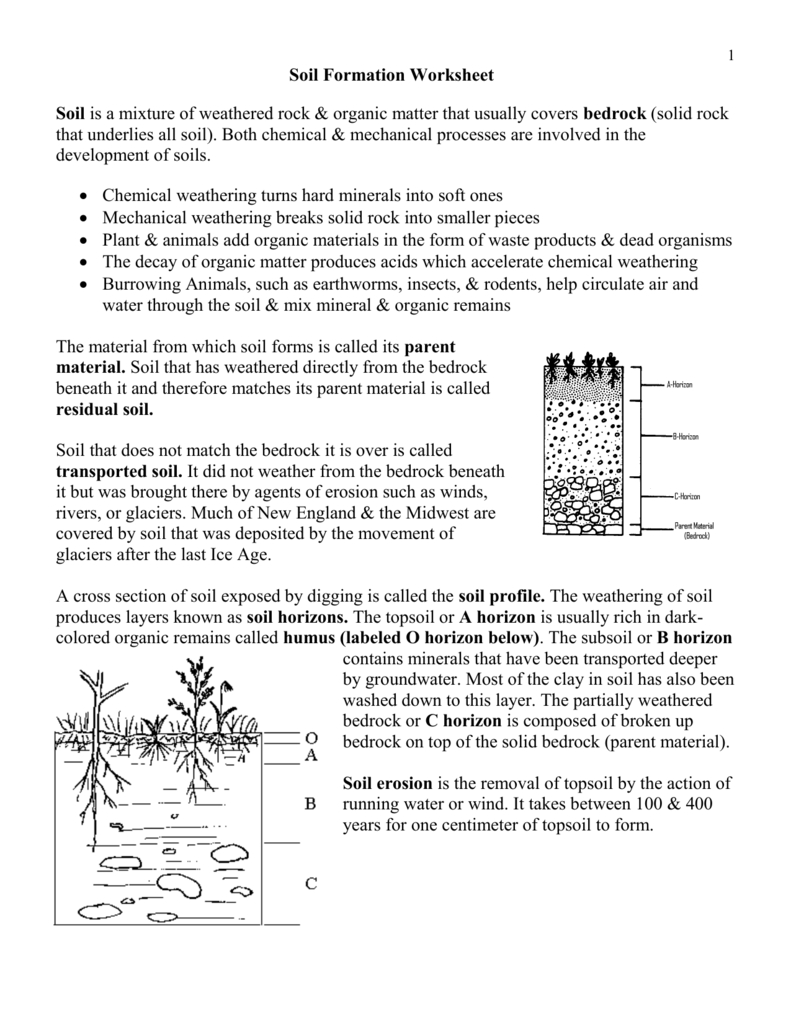 Soil Formation Worksheet  Wikispaces Regarding Soil Formation Worksheet Answers