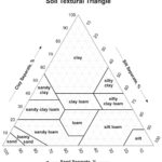 Soil Texture Triangle Diagram  Quizlet Intended For Soil Texture Triangle Worksheet