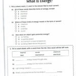 Solving Proportions Worksheet Answers  Briefencounters With Regard To The Cove Movie Worksheet Answers