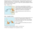 Speciation In Galapagos Finches Throughout Galapagos Island Finches Worksheet