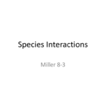 Species Interactions  Room N60 Pertaining To Species Interactions Worksheet Answer Key