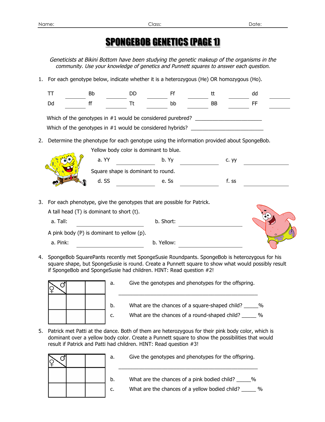 Spongebob Genetics Page 1 For Spongebob Genotype Worksheet Answers