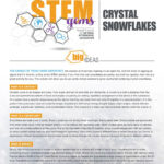 Stemgems Crystal Snowflakes With Growing Crystals Lab Worksheet