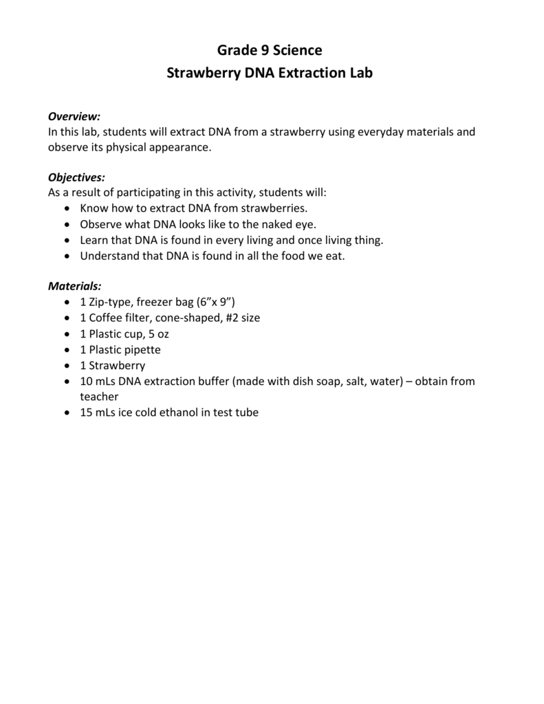 Strawberry Dna Extraction Lab Along With Strawberry Dna Extraction Lab Worksheet