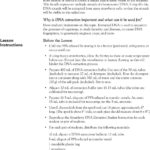 Strawberry Dna Extraction  Pdf And Strawberry Dna Extraction Lab Worksheet