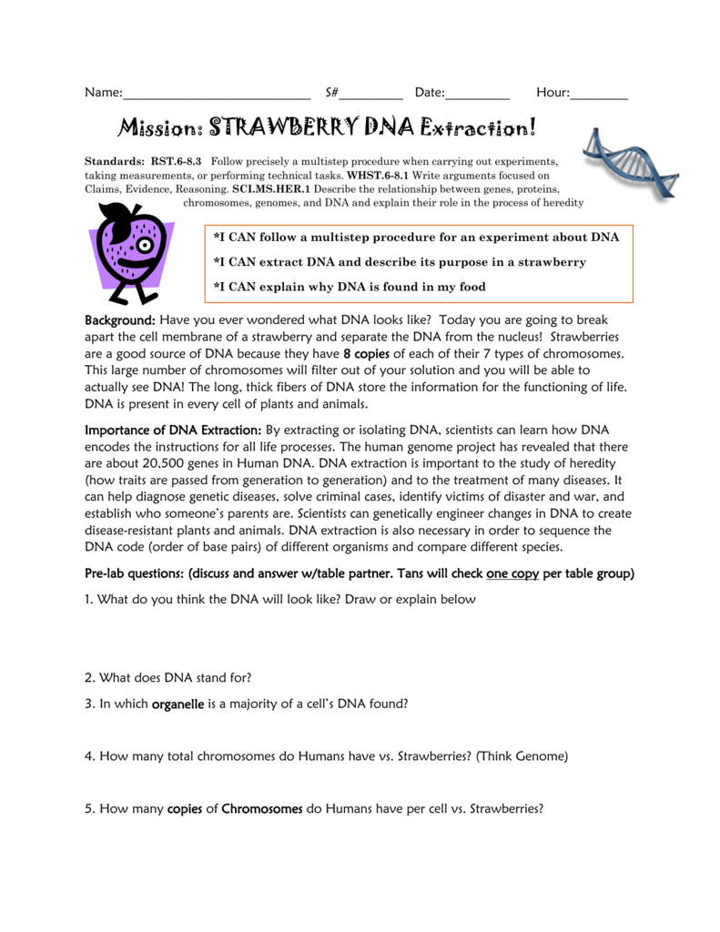 Strawberry Dna Lab Sheet For Strawberry Dna Extraction Lab Worksheet